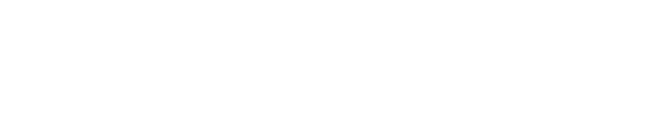 Logo-ul oficial Flobold de culoare albă cu textul BOLD IDEAS BRILLIANT EXECUTION în header.