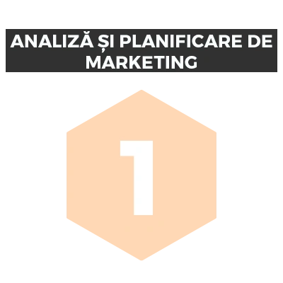 Pasul 1: Analiză și planificare de marketing pentru dezvoltarea unui site web.