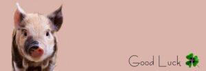 piglet, pig, happiness, lucky pig, piggy, cute, pink, congratulations, lucky charm, new year's day, sylvester, four leaf clover, new year's eve, new year greeting, lucky clover, pig, pig, pig, pig, pig