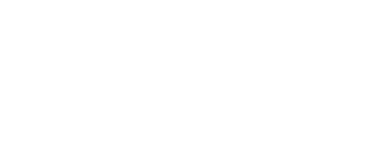 garant b