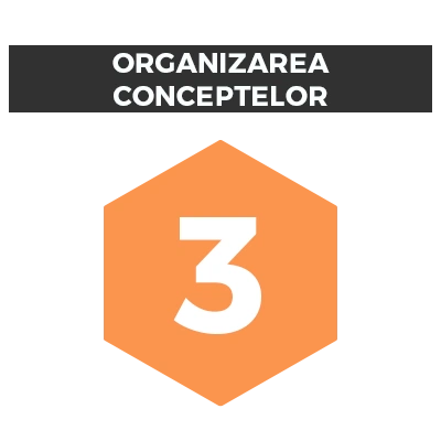Pasul 3: Organizarea conceptelor grafice și ajustări live pentru site-ul web.