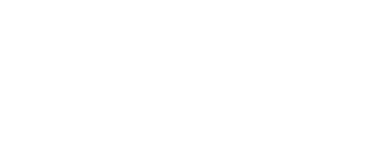 Recenzie Jewelry despre servicii design de brand si colectii elegante FloBold