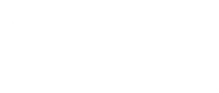 Client testimonial about logo design and full visual identity