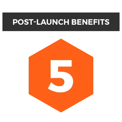 Step 5: Post-launch benefits, technical maintenance, and website security.