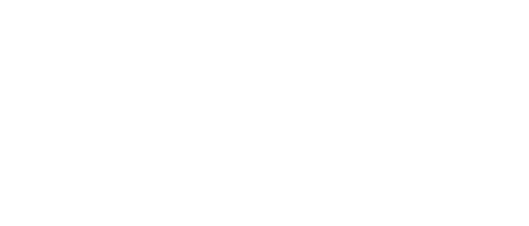 Recenzie Investiera Viorel Nica President CEO despre servicii de pozitionare brand investitii si gandire strategica FloBold