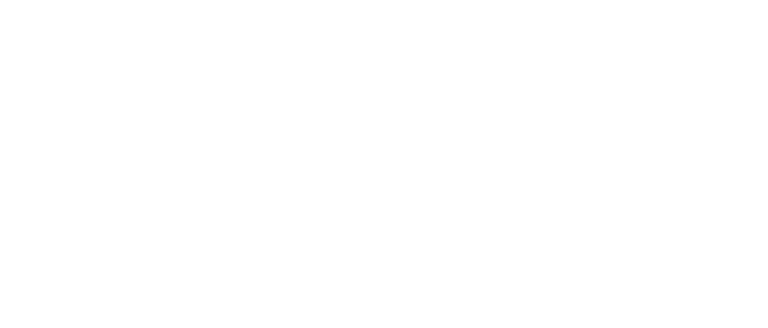 Client testimonial regarding market positioning and branding strategy