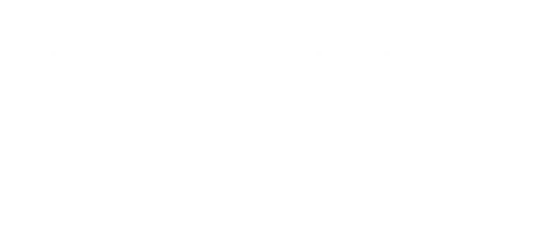 Testimonial about a coherent brand identity for international market, Allianz
